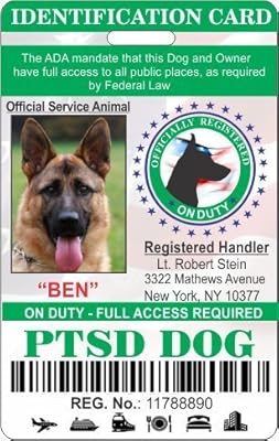 ptsd service dog ada