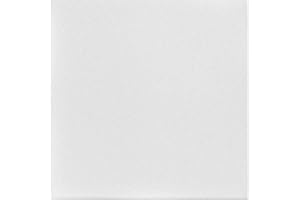 À LA MAISON CEILINGS A La Maison Ceilings R22 Basic Foam Glue-up Ceiling Tile (256 sq. ft./Case), Pack of 96, Plain White