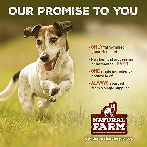 Natural Farm 5-Inch Flat Gullet Sticks (20-Pack) | Human-Grade Beef | 100% Natural | One Ingredient | Grass-Fed Beef | Dog Treats | Grain-Free | Fully Digestible | Small, Medium, Large Dogs - Thumbnail 4