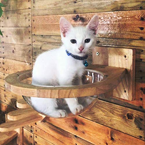 TINTON LIFE WallMounted Wooden Cat Space Clear Capsule Cat Bed Small