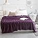 Qbedding Inc. Luxury Collection Microplush Flannel Fleece Blanket | Ultra Soft 380 GSM Lightweight All-Season Anti-Static Throw/Blanket for Sofa Couch Bed (Queen (78-Inch-by-90-Inch), Purple)