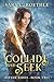 Collide and Seek (Bitter Ashes Book 2)