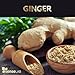 SenseLAB Indian Ginger Essential Oil - 100% Pure Extract Ginger Oils - Therapeutic Grade Essential Oils - Lymphatic Drainage Ginger Oil - Ginger Massage Oil - Hair Care Oil - Ginger Root Oil (10 ml)