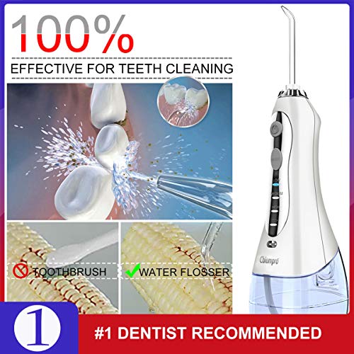 Water Flosser, Cbiumpro 300 ML Professional Cordless Water Flosser Portable Rechargeable Electric Oral Irrigator Teech Cleaner IPX7 Waterproof Dental Water Flosser with 8 Jet Tips, Travel Pouch