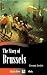 The Story of Brussels (Illustrated)