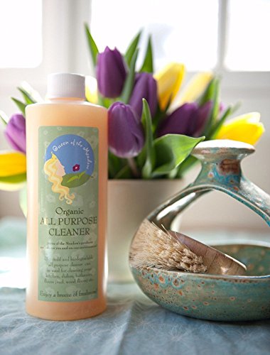 Concentrated Cleaner, naturally powerful, 16 fl oz