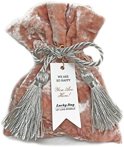 Fesmi Decor Party Favor Velvet Drawstring Bag with Silver-Gray Tassles, Gold Hook, and Accessory Greeting Tag for Parties and Celebrations, 5.25 x 4.5 x 0.5 inches - 20 Pack (Blush Pink)