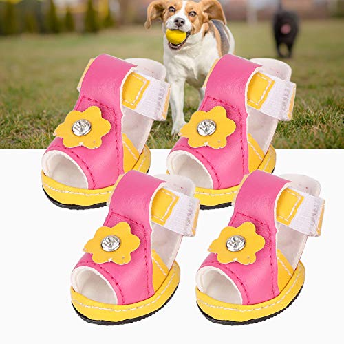 cute shoes for dogs