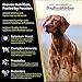 VICTOR Super Premium Dog Food – Grain Free Ultra Pro Kibble – High Protein, Low Carb for Active Dogs – 42% Protein Kibble for Sporting Dogs of All Breeds & Sizes, 30 lb
