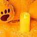 TEECOO Flameless Candles, Flickering LED Candles Φ3.15 x H 6
