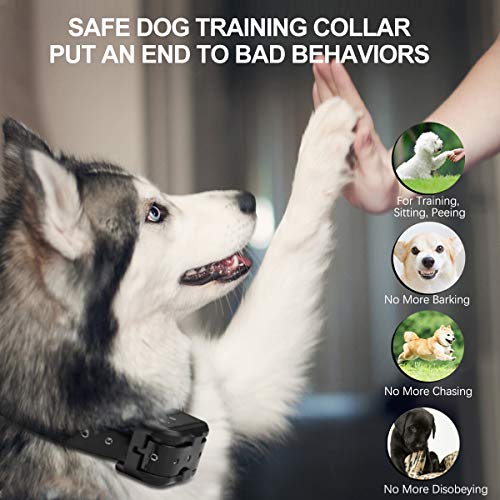 kungber dog training collar