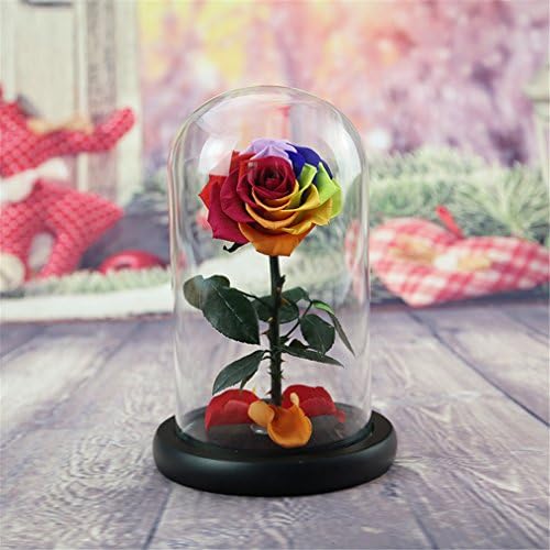 Beauty And The Beast Rose, Live Forever Rose in Glass, Live Enchanted Rose, Preserved Rose %100 Natural