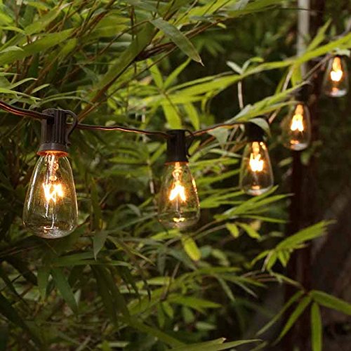 image for MYHH-LITES 20ft Outdoor Patio String lights with 21 ST35 Edison Bulbs(