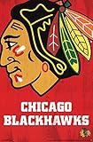 Chicago Blackhawks Logo Poster 22 x 34in