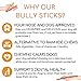 Best For My Pets Odor Free Bully Sticks, Long-Lasting Chews to Keep Puppies and Dogs Happily Busy, All-Natural Fully Digestible, 6-Inch Long, 8-Ounce Bag