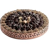 The Chocolate Bar - Beautiful Rose Gold Greek Key Styled Mirror Tray Chocolate Truffle Gift Platter (Medium)
