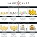 Flameless LED Decorative Candles Set, Real Ivory Wax Flickering LampLust Candle Pack, Variety Sizes, Batteries Included, Indoor Use - Set of 11