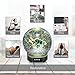 POLENNON Taurus Essential Oil Diffuser Electric Ultrasonic Cool Mist Humidifier with Star Atlas 7 Color Changing
