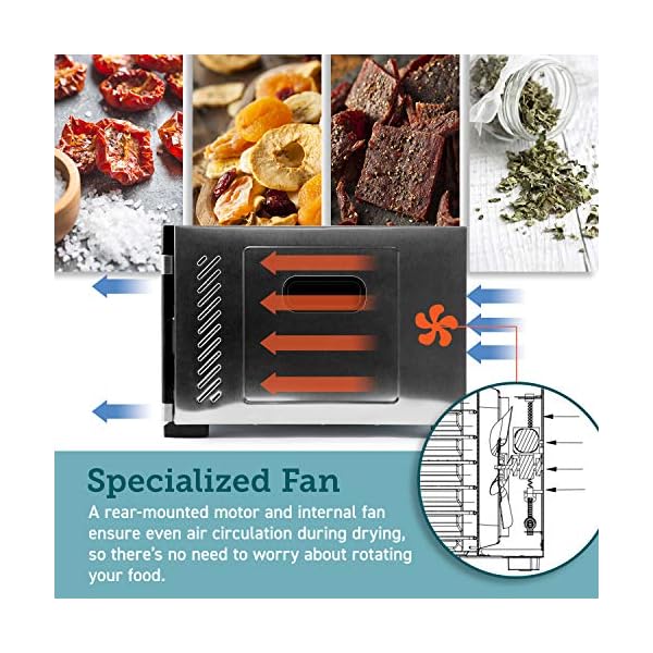 COSORI Premium Food Dehydrator Machine(50 Free Recipes), 6 Stainless Steel Trays with Digital