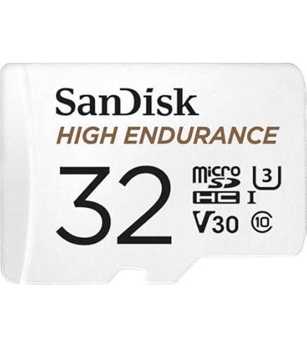 Amazon.com: SanDisk High Endurance 32GB MicroSDHC Memory