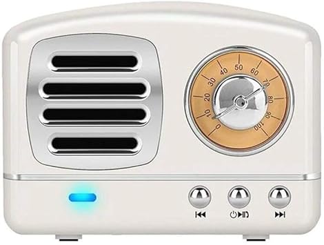 speaker dan mic wireless