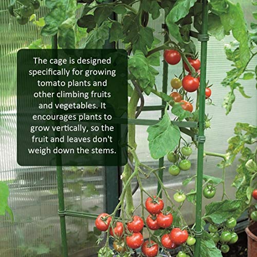 5 GROWNEER+Assembled+Vegetable+Vertical+Climbing