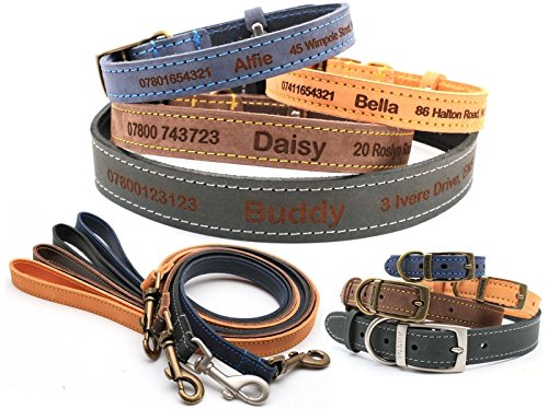 Ancol Timberwolf Personalized Finest Leather Dog Puppy Collar Tag, Optional Matching Lead