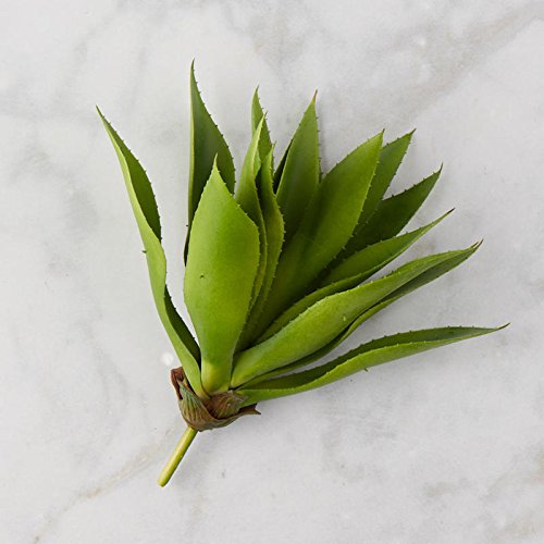 Factory Direct Craft Green Vinyl Aloe Plant Pick | For Indoor or Outdoor Decor