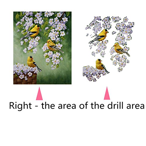 DEESEE(TM) 5D Flower Diamond Rhinestone Pasted Embroidery Painting Cross Stitch Home Decor (G(25×30cm)) - Thumbnail 3