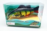 Peacock Bass, Realistic Swimming Fish Water Pool & Bath Toy 8