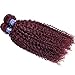Red Wine Color Malaysian Deep Curl Hair 3 Bundles #99J Malaysian Kinky Curly Hair 100% Ombre Human Hair Extensions (16 18 20 inch, #99J)