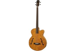 ARIA FEB-F2/FL STBR Fretless Electric Acoustic Base