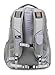High Sierra Access Laptop Backpack, Greyt/Ash/Silver, 20 x 15 x 9.5-Inch