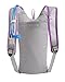 CamelBak Kid's 2016 Skeeter Hydration Pack, Sheer Lilac/Purple Cactus Flower