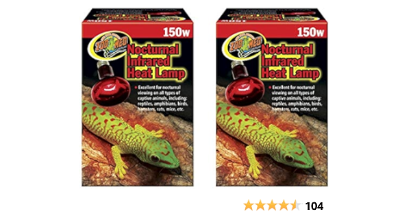 amazon reptile store