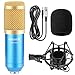 Neewer NW-800 Professional Studio Microphone Set Including NW-800 Condenser Microphone, Microphone Shock Mount, Ball-type Anti-wind Foam Cap and Microphone Power Cable (Blue)