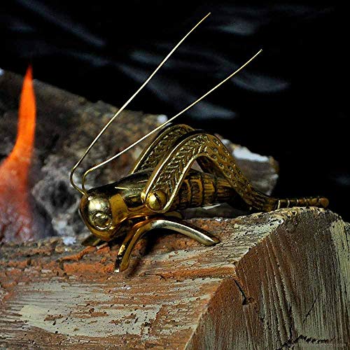 Polished Hearth Cricket