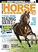 Horse Illustrated