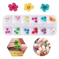 Valuu 3D Nail Art Dried Flowers Sticker 12 Colors Natural Real Dry Flower Nail Art Decoration Lovely Five Petal Flower Beauty Nail Stickers for 3D Nail Art Acrylic UV Gel Tips