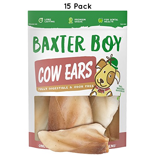 Baxter Boy Premium Grade Odor Free Cow Ears Dog Treats, (15 Pack) - 8" Long All Unflavored Natural Gourmet Dog Treat Chews - Fresh & Tasty Low-Calorie Treat