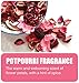 Big D 462 Concentrated Room Deodorant for Metered Aerosol Dispensers, Potpourri Fragrance, 7 oz (Pack of 12) - Air freshener ideal for restrooms, offices, schools, restaurants, hotels, stores