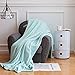 Luxury Collection Ultra Soft Plush Fleece Lightweight All-Season Throw/Bed Blanket (Throw (50-Inch-by-60-Inch), Turquoise)