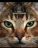 2019 Weekly Planner: 2019 8