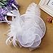 Valdler Halloween Costume Feather Net and Veil Fascinator Hair Clip Hat Hair Accessories Clip for Festival Party White