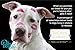 Petzos All Natural Dog Treats - Minty Morsels, Mint and Ginger Flavored, Gluten-and-Grain-Free Dog Biscuits - Tasty Dog Cookies 10 oz