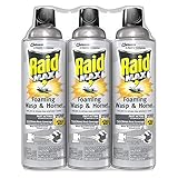 Raid Max Foaming Wasp & Hornet Killer 3 x 13 oz.