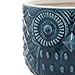MyGift 5 Inch Whimsical Ceramic Succulent Cactus Herb Planter Pot with Textured Owl Face Design and Blue Glossy Finish