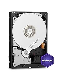WD - Disco duro de vigilancia (1 TB, 5400 rpm, clase SATA, 6 Gb s, 64 MB de caché, 3,5 pulgadas), color morado