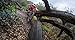 GoPro Pro Seat Rail Mount (All GoPro Cameras) - Official GoPro Mount