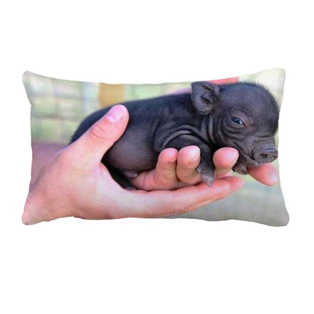 Amazon Com Teacup Pig Black Adorable Standard Size Pillow Case